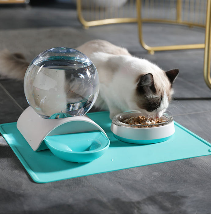 Pet feeding waterer