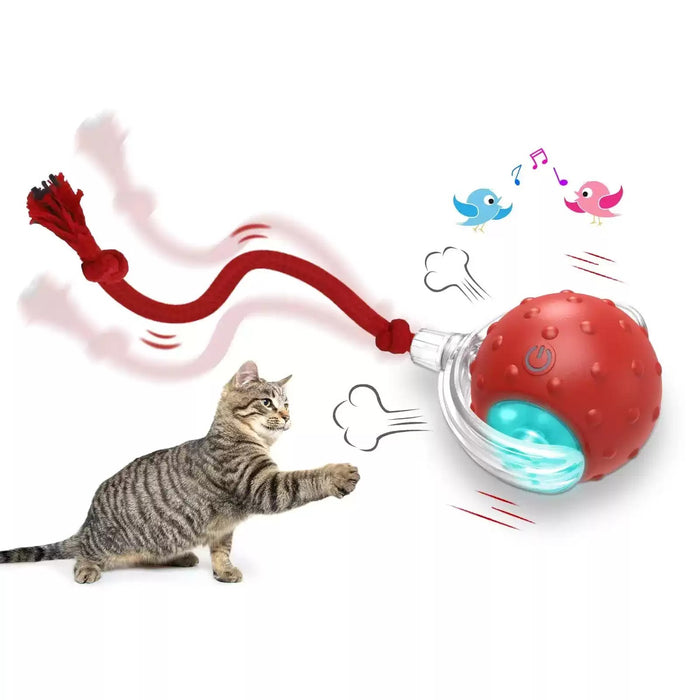 Interactive Cat Toy Ball Super Drive Cat Rolling Balls With