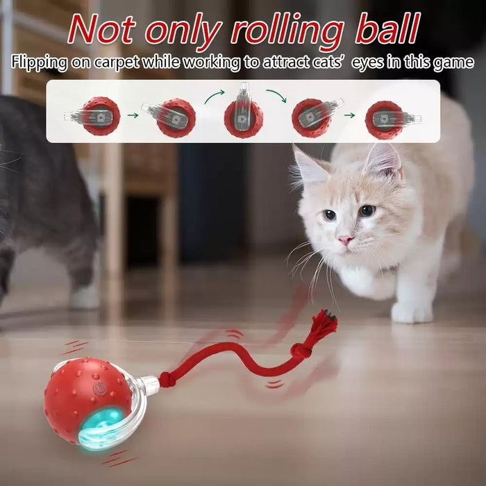 Interactive Cat Toy Ball Super Drive Cat Rolling Balls With