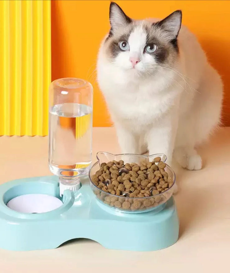 Pet Double Feeding Bowl