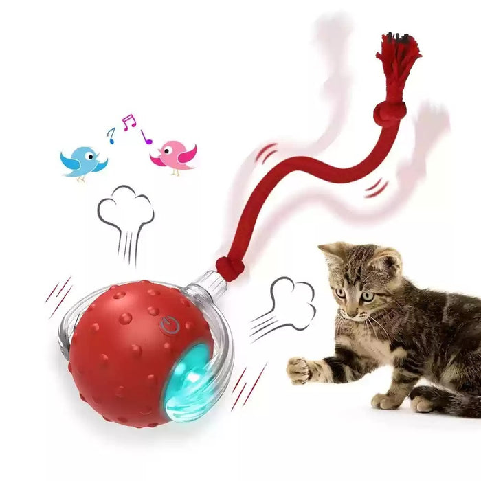 Interactive Cat Toy Ball Super Drive Cat Rolling Balls With